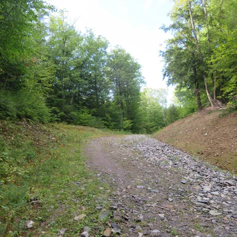 00 Intervale Road Gilford NH 03249