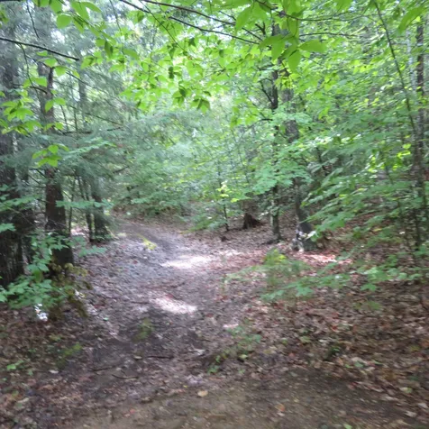 00 Intervale Road Gilford NH 03249