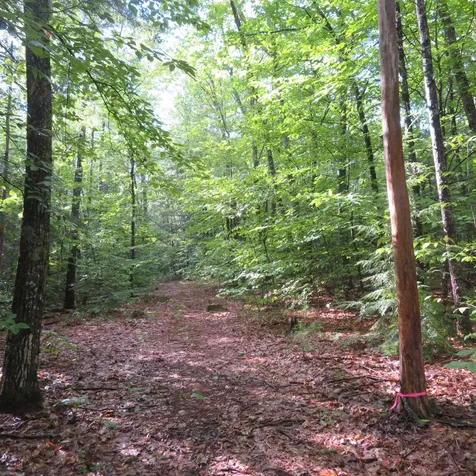 00 Intervale Road Gilford NH 03249