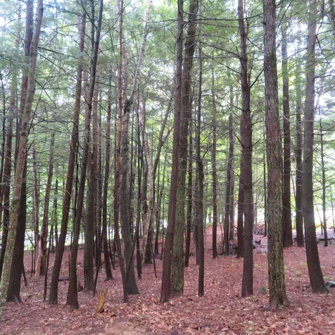 00 Intervale Road Gilford NH 03249