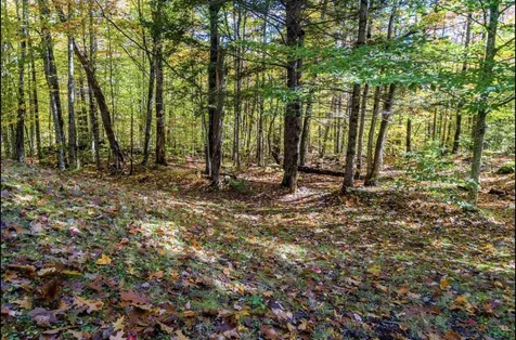179 Murray Hill Road Hill NH 03243