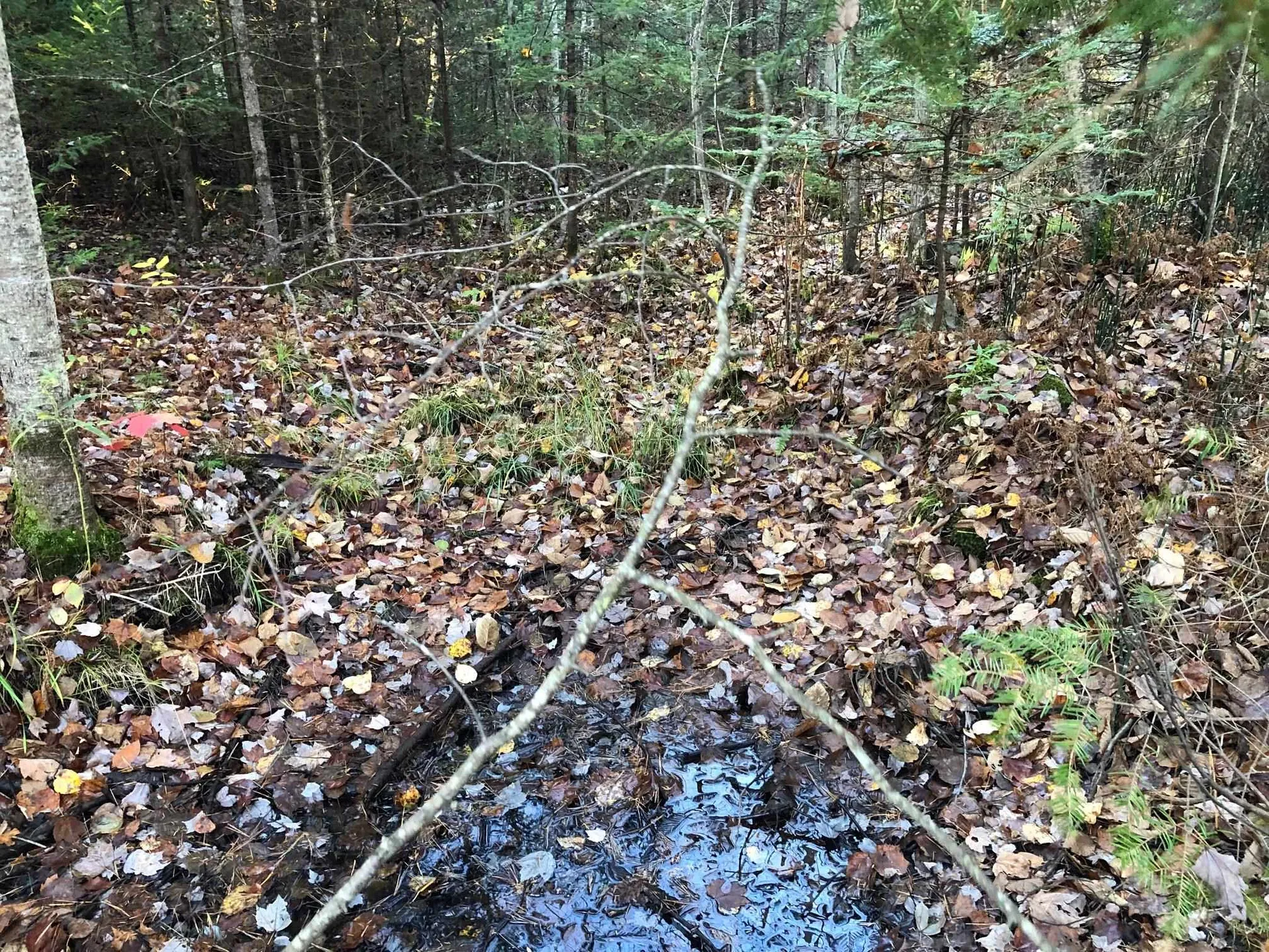 00 Pawtuckaway Road Haverhill NH 03785