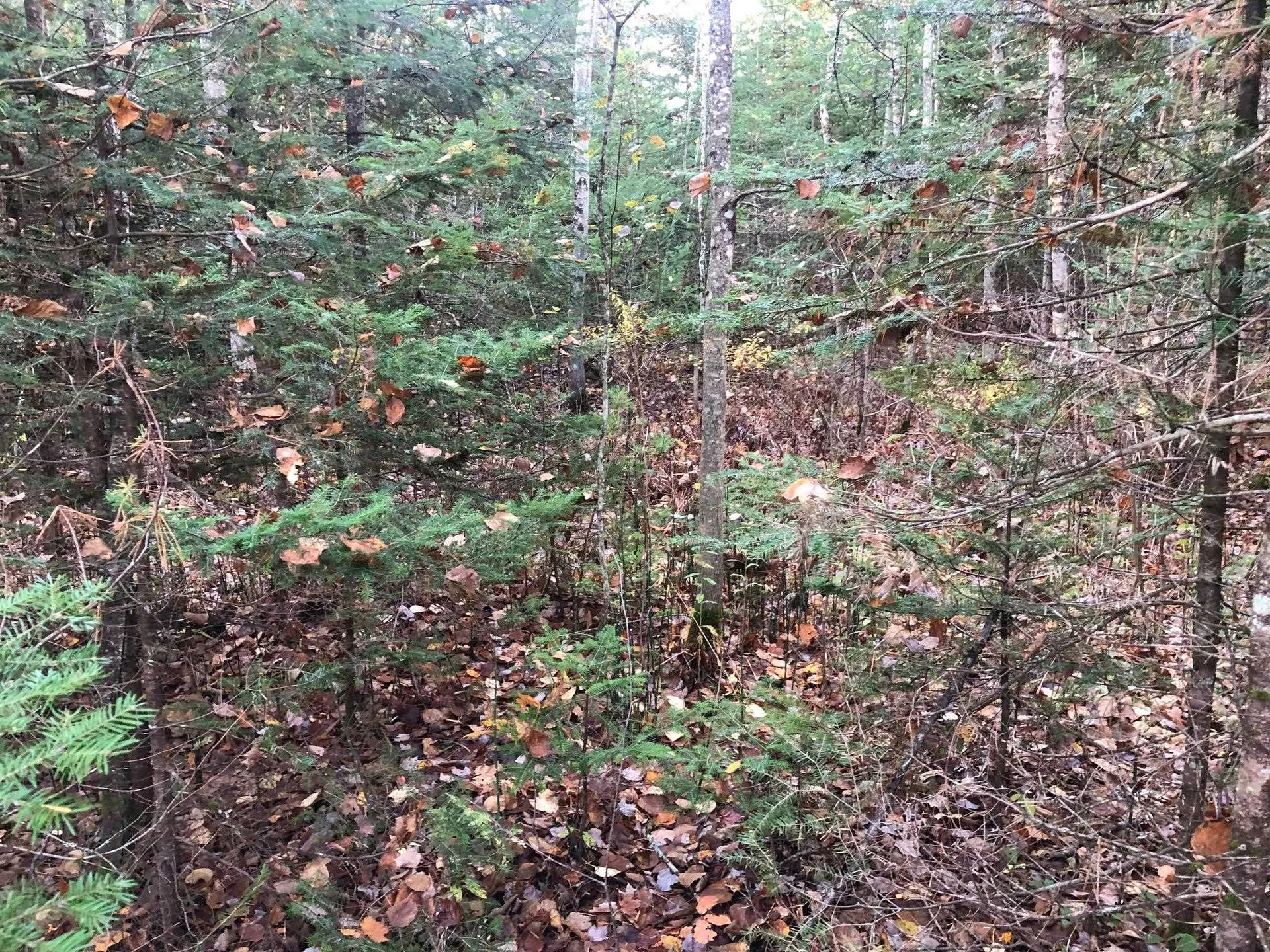00 Pawtuckaway Road Haverhill NH 03785