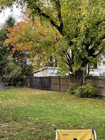 11 Hobbs Avenue Nashua NH 03060