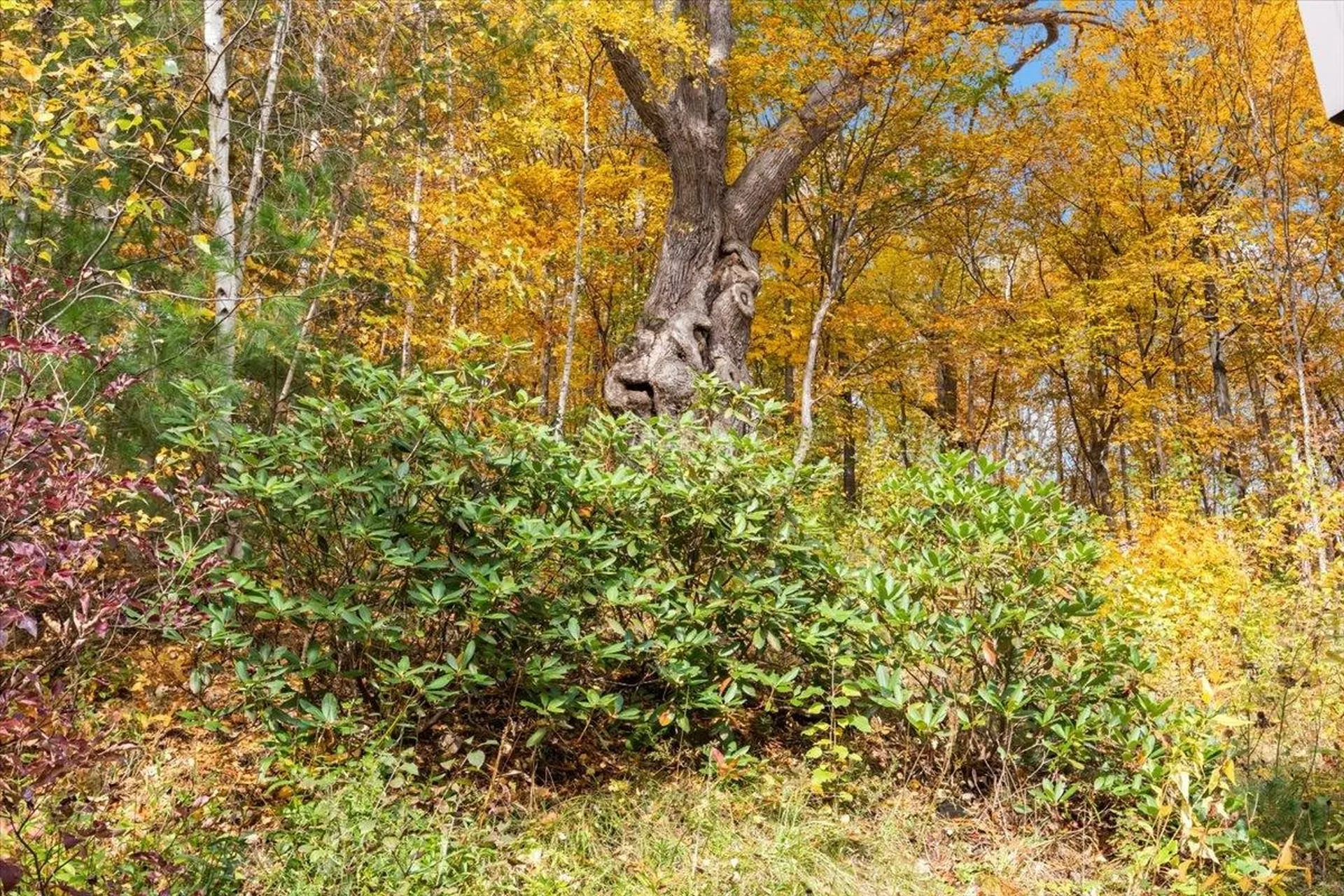 182 Timothy Way Williston VT 05495
