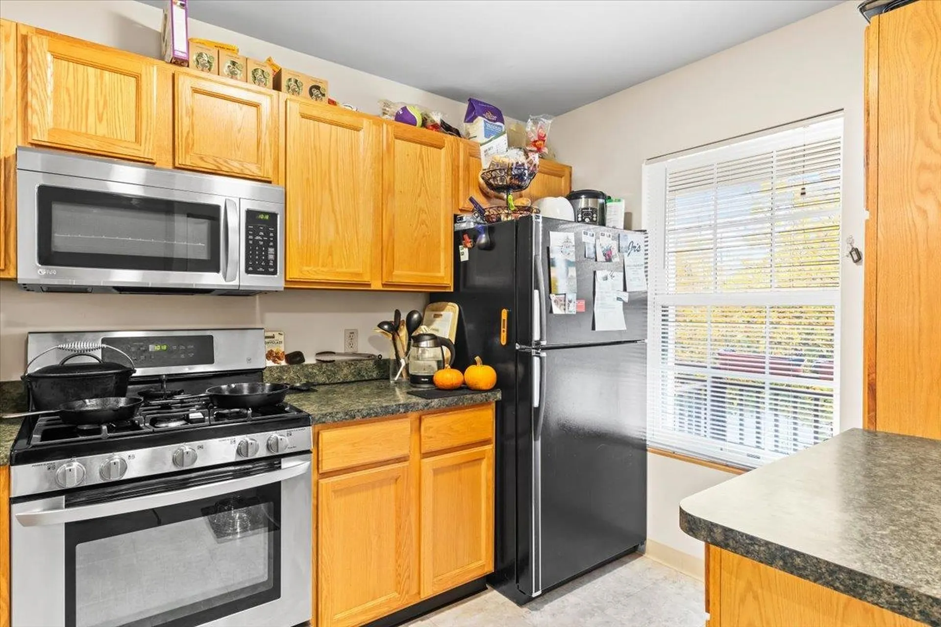 182 Timothy Way Williston VT 05495