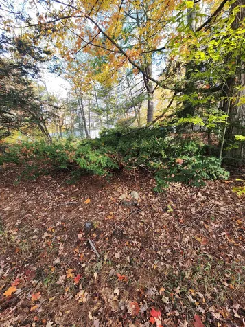 190 Grove Street Conway NH 03860