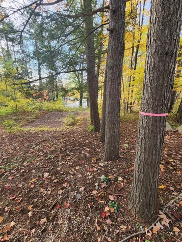 190 Grove Street Conway NH 03860
