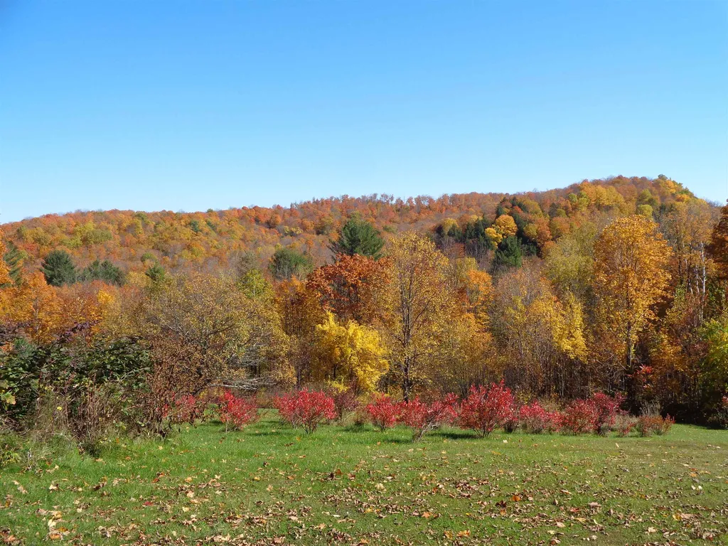 181 Chamberlain Hill Road Vershire VT 05079