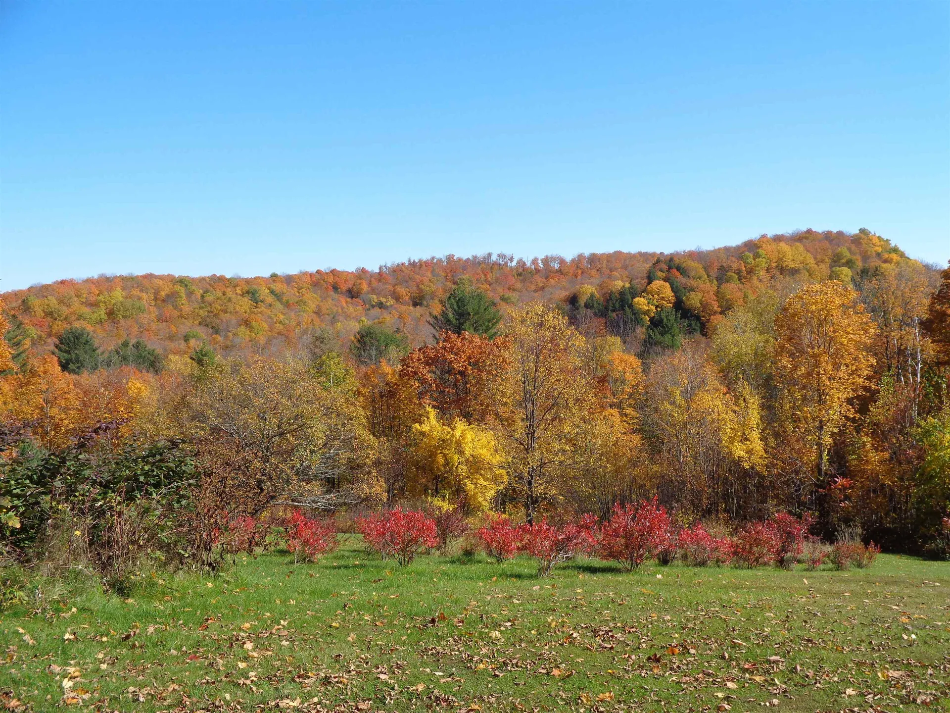 181 Chamberlain Hill Road Vershire VT 05079