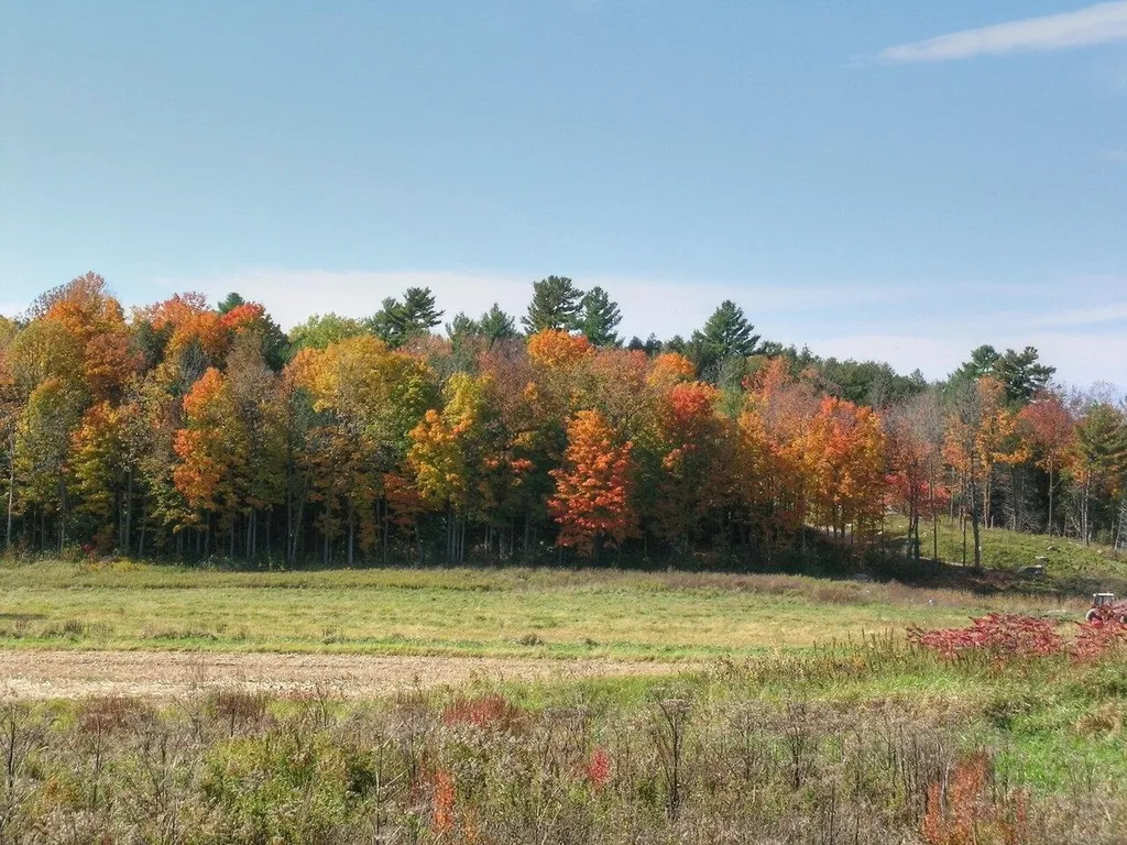 Lot 4 Finney Ridge Shelburne VT 05482