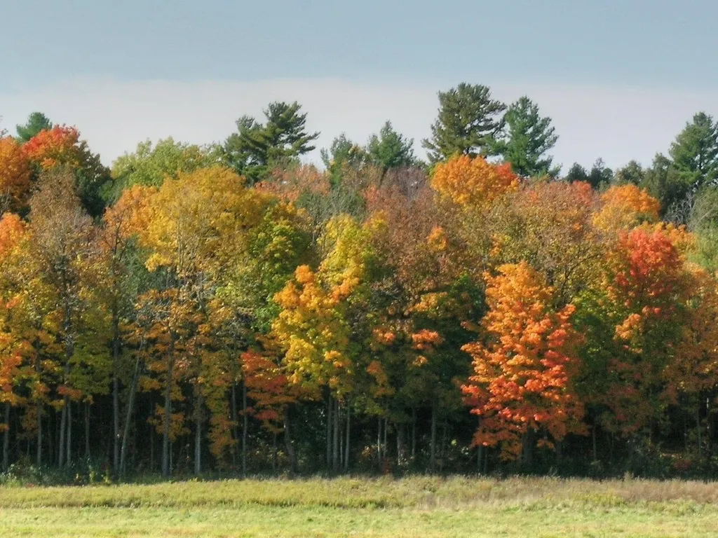 Lot 4 Finney Ridge Shelburne VT 05482