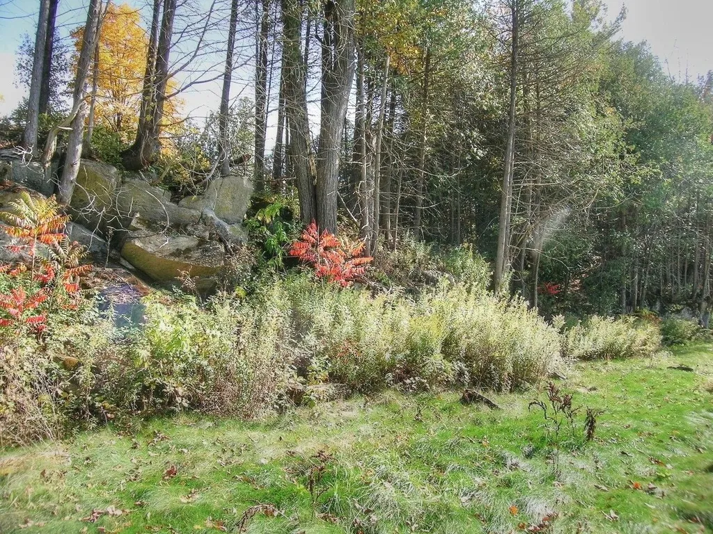 Lot 4 Finney Ridge Shelburne VT 05482