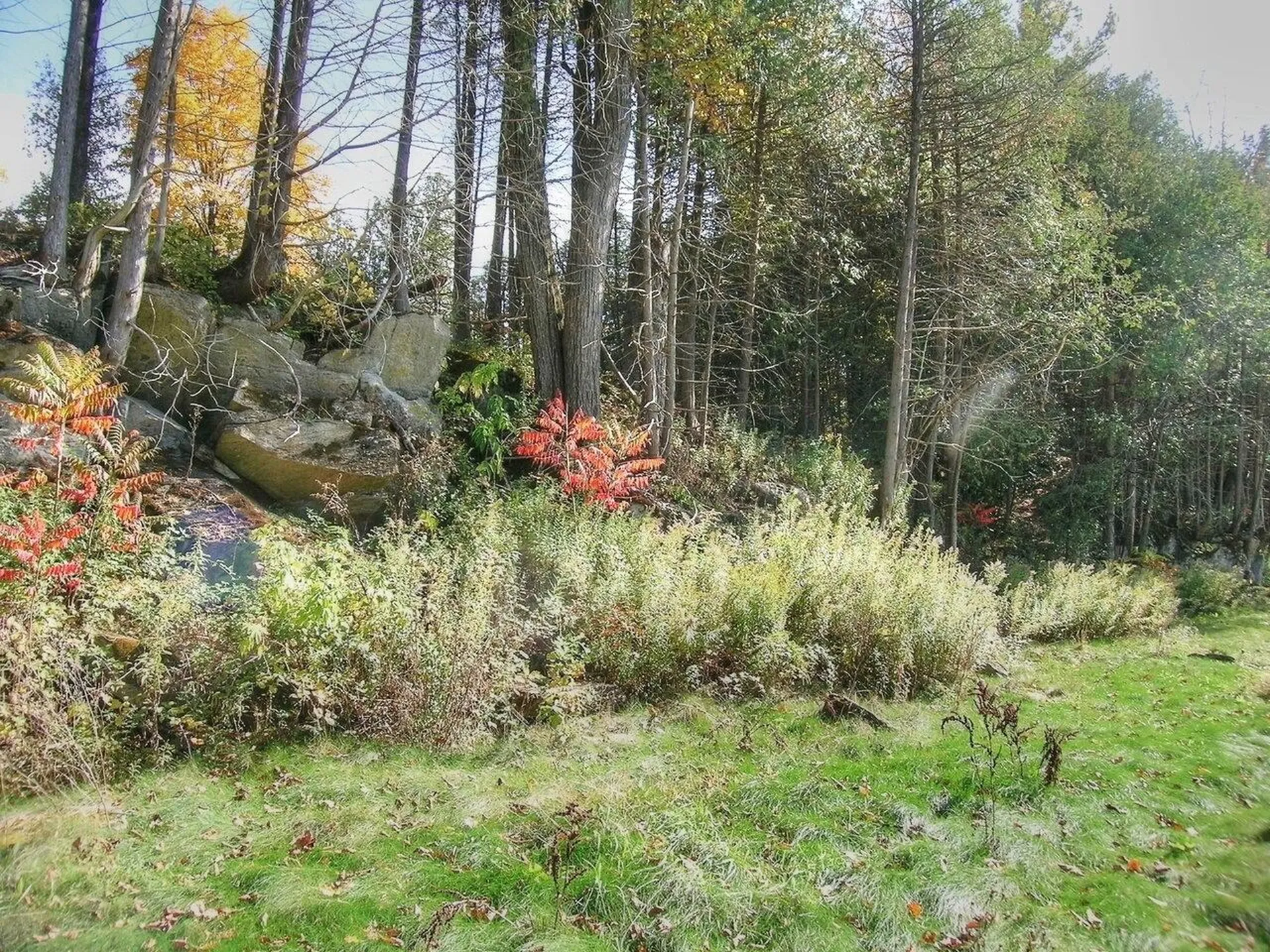 Lot 4 Finney Ridge Shelburne VT 05482