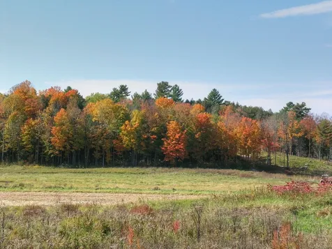 Lot 4 Finney Ridge Shelburne VT 05482