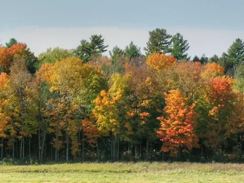 Lot 4 Finney Ridge Shelburne VT 05482
