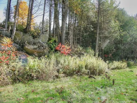Lot 4 Finney Ridge Shelburne VT 05482
