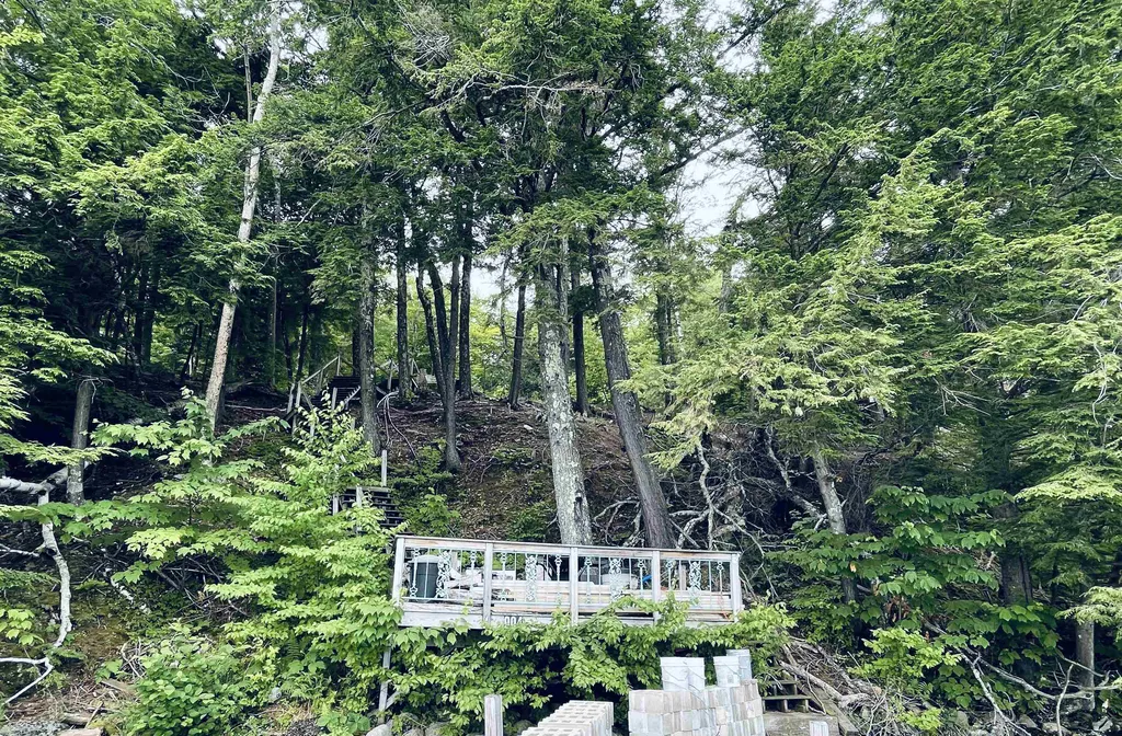 904 Rattlesnake Island Alton NH 03809