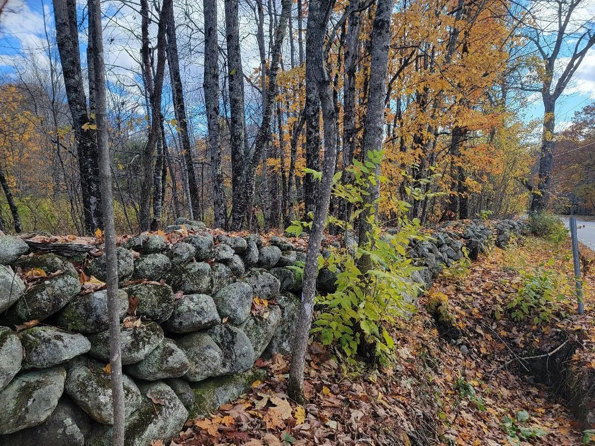 604 Stinson Lake Road Rumney NH 03266