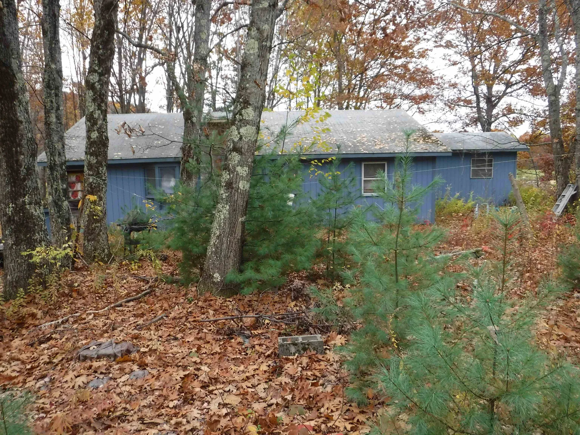 2017 Oxbow Road Pittsford VT 05763