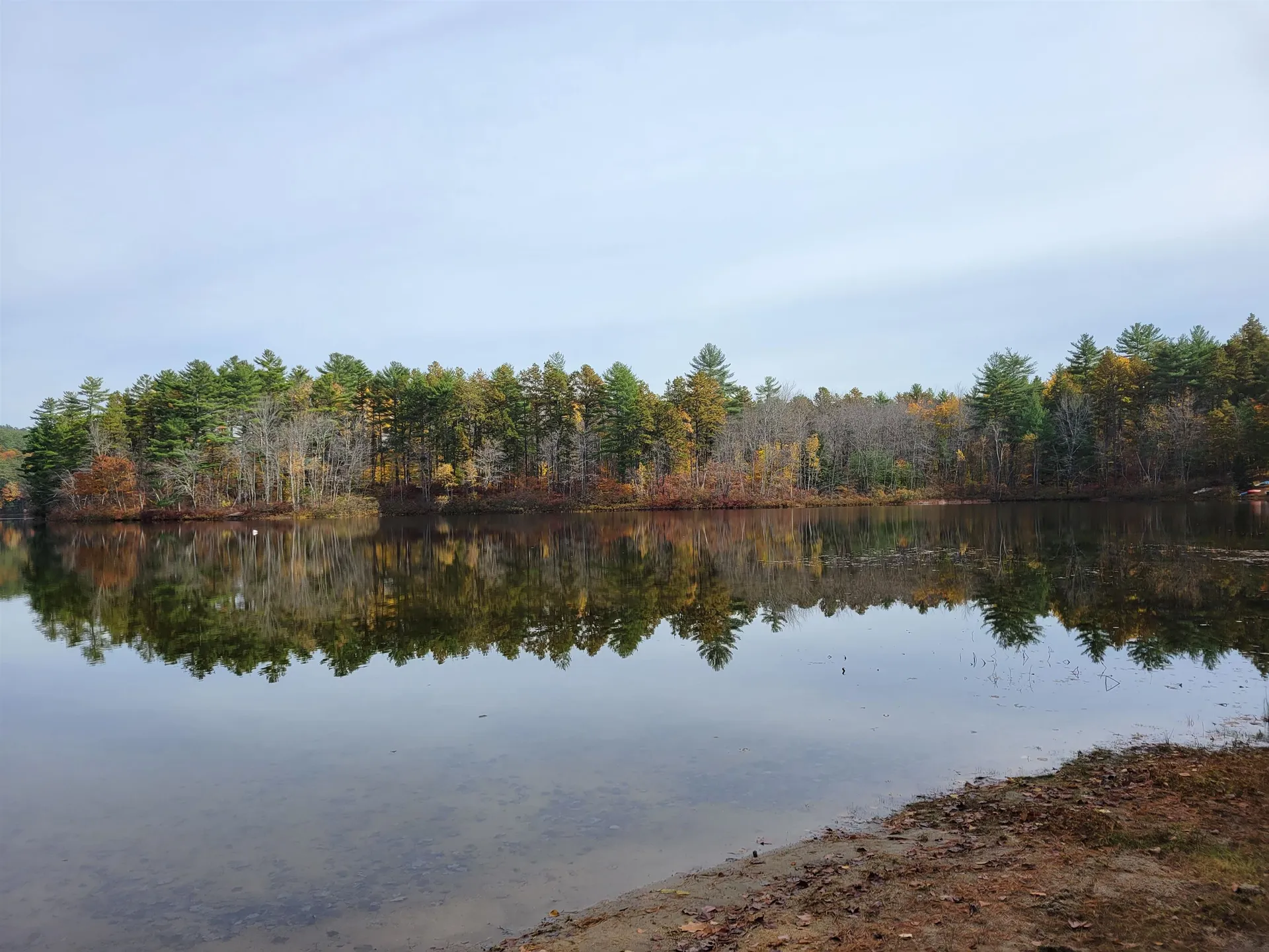 66 Round Pond Road Freedom NH 03836