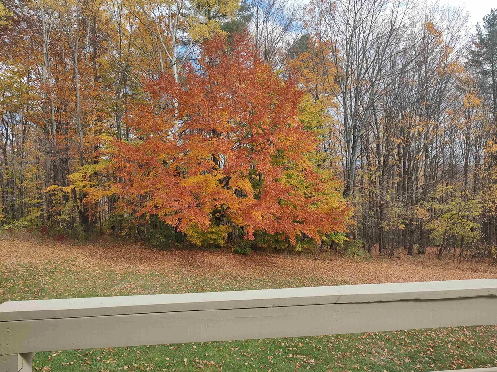 17 Angell Road Tunbridge VT 05077