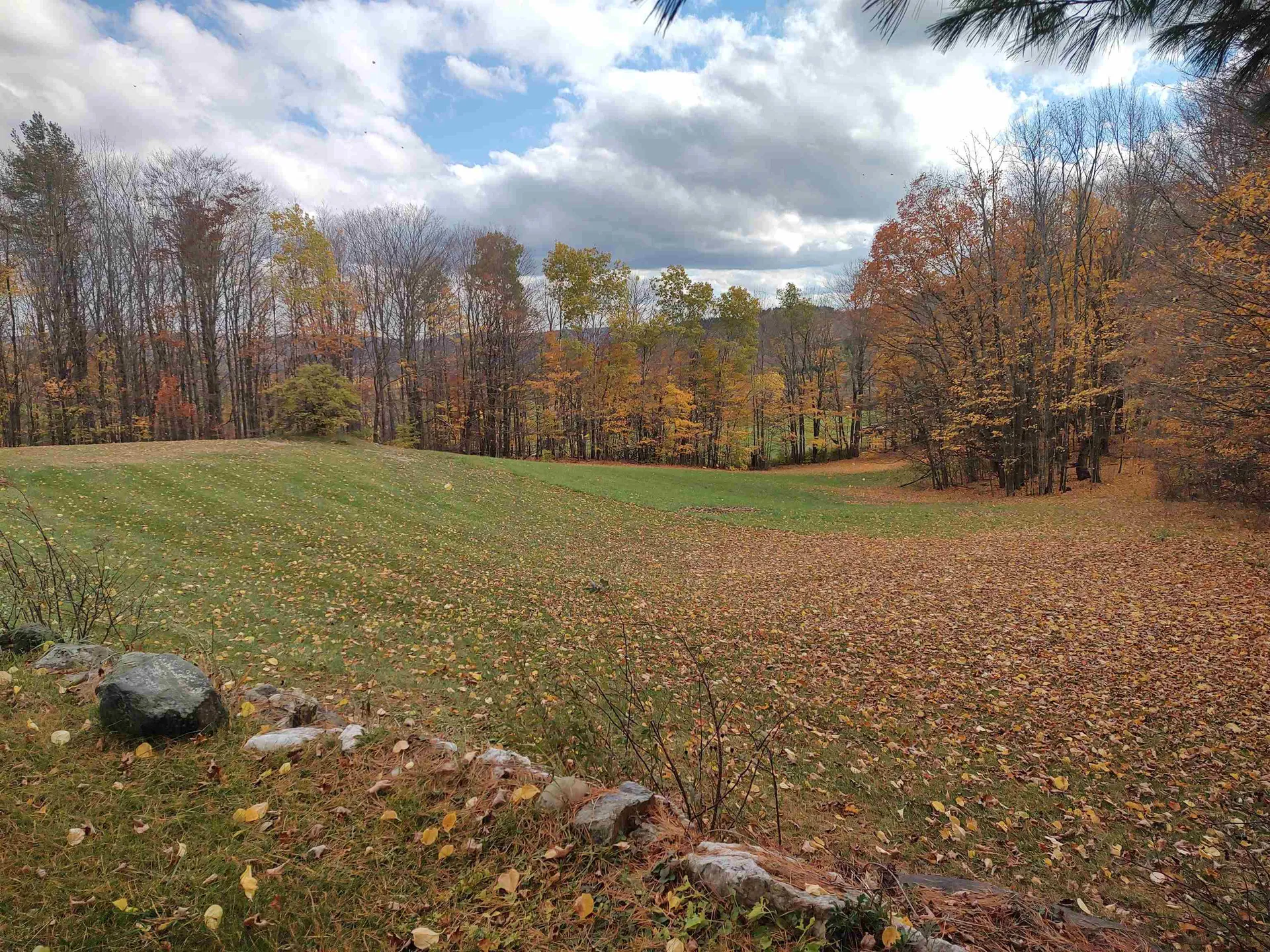 17 Angell Road Tunbridge VT 05077