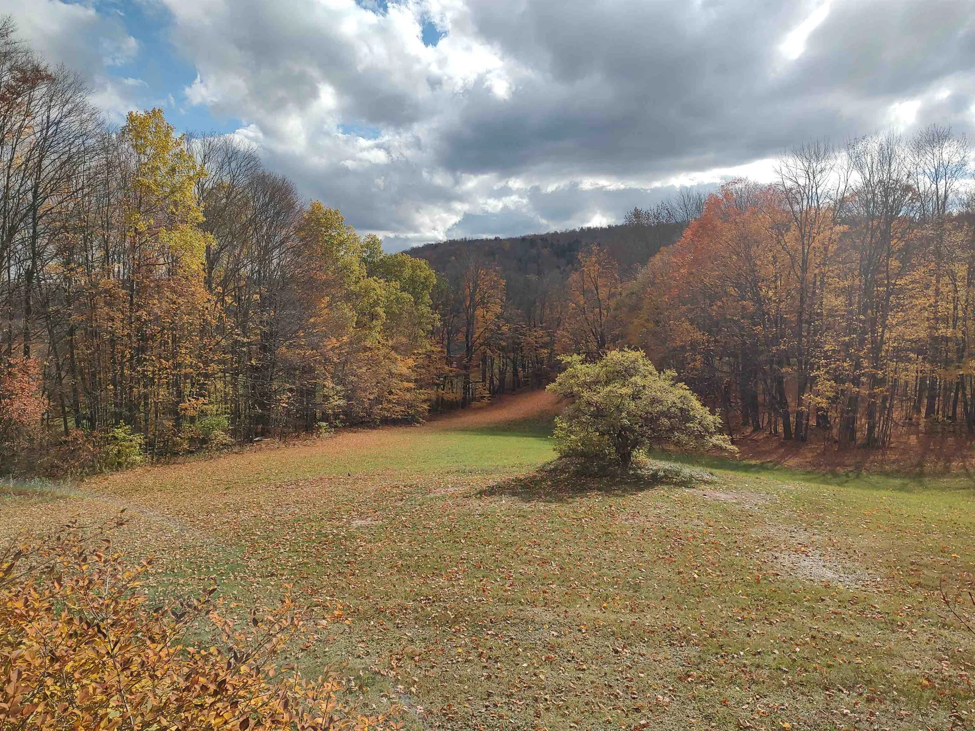 17 Angell Road Tunbridge VT 05077