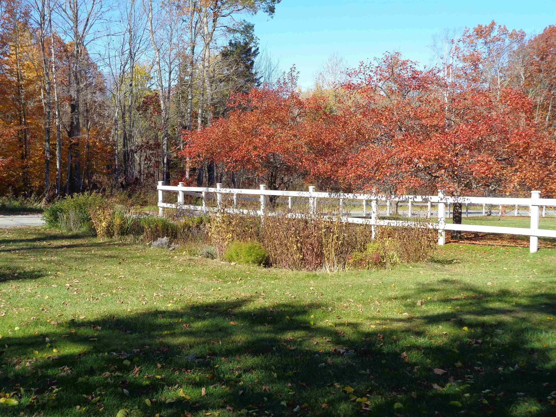 1050 Richardson Road Corinth VT 05039-0000