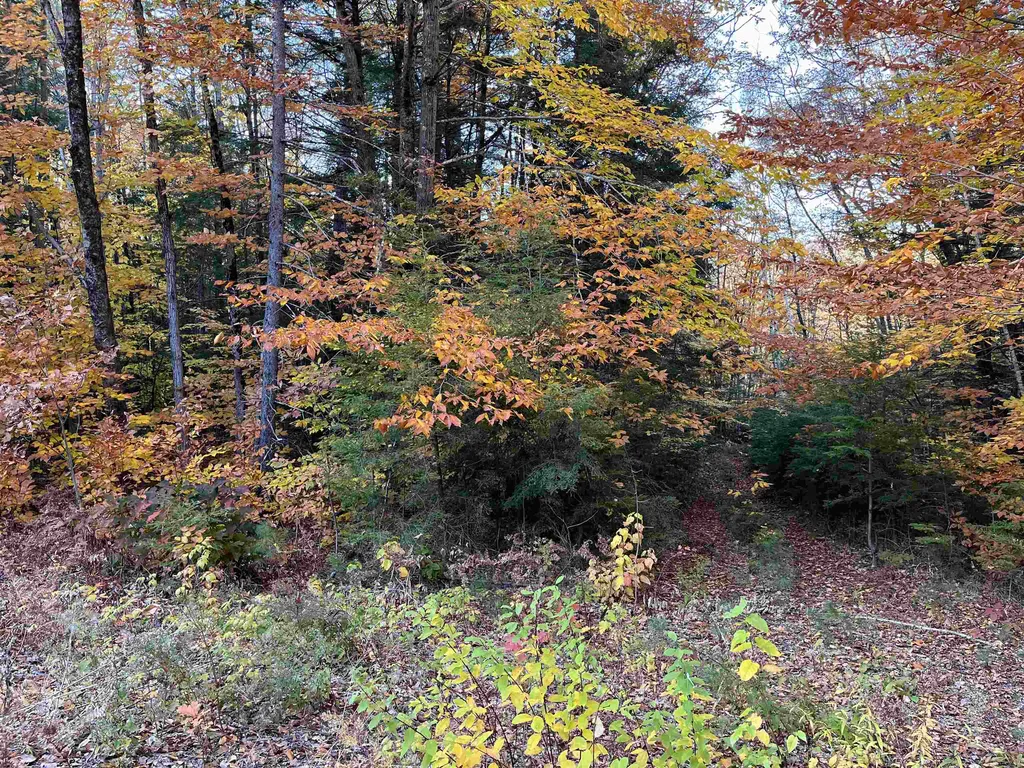 31 Hawk Road Bartlett NH 03812