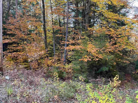 31 Hawk Road Bartlett NH 03812