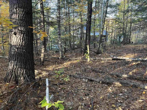 31 Hawk Road Bartlett NH 03812