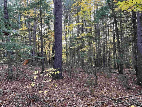 31 Hawk Road Bartlett NH 03812
