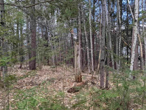 31 Hawk Road Bartlett NH 03812