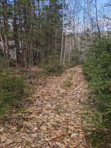 31 Hawk Road Bartlett NH 03812