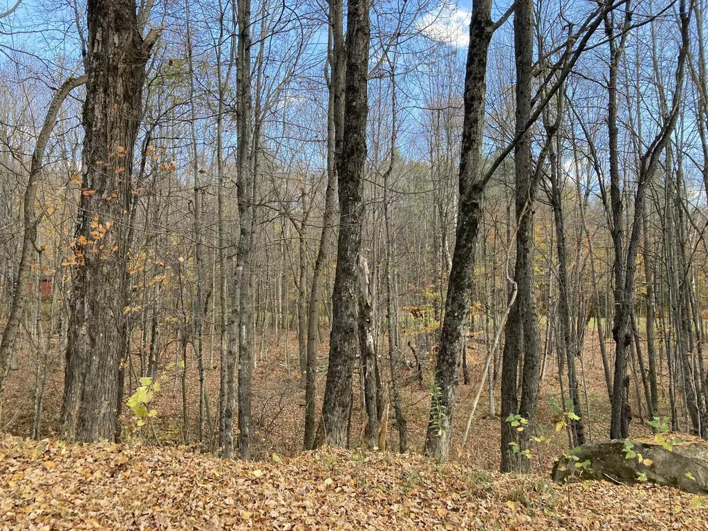 80 Daniels Road Barnard VT 05031