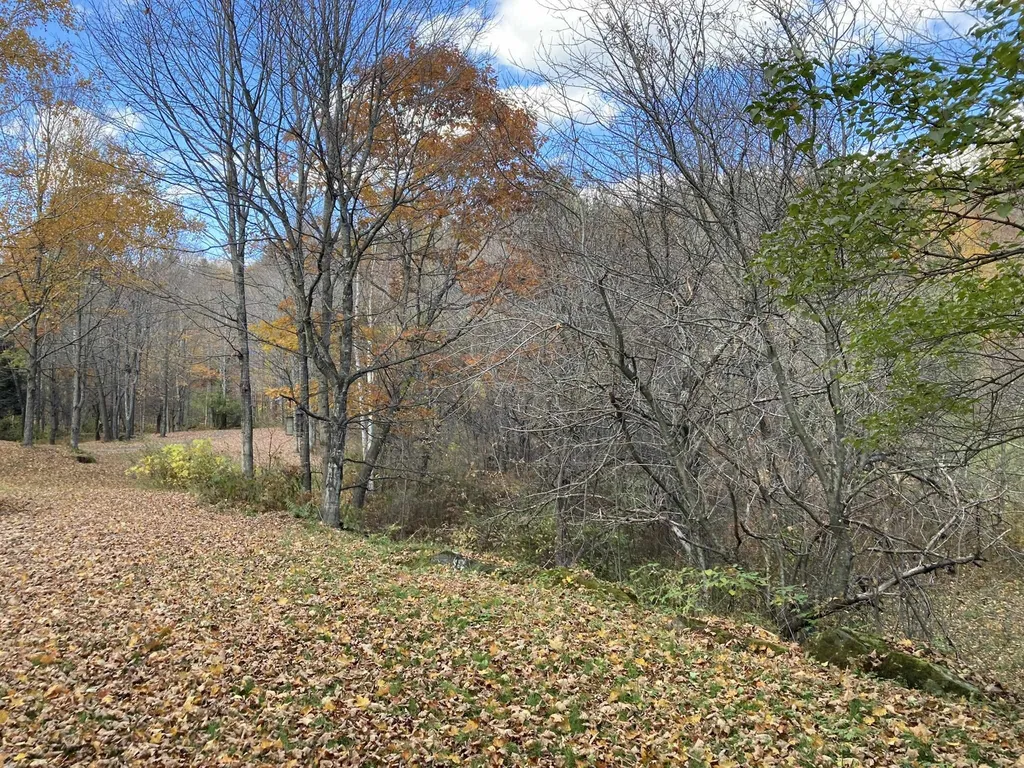 80 Daniels Road Barnard VT 05031