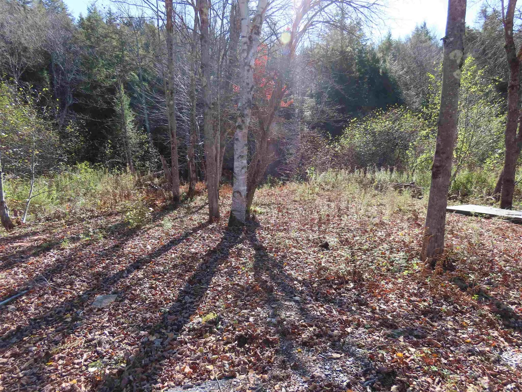 6 Andrea Drive Stamford VT 05320
