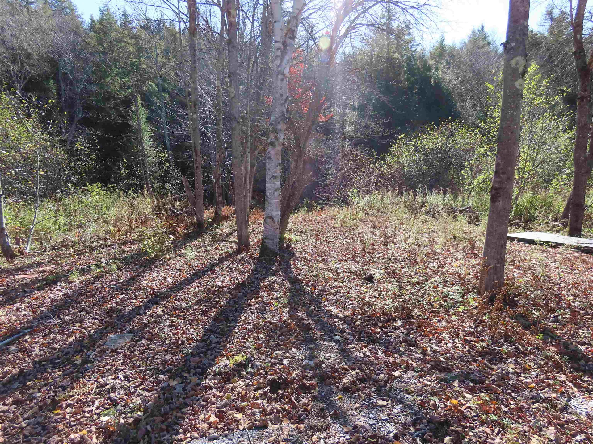 6 Andrea Drive Stamford VT 05320