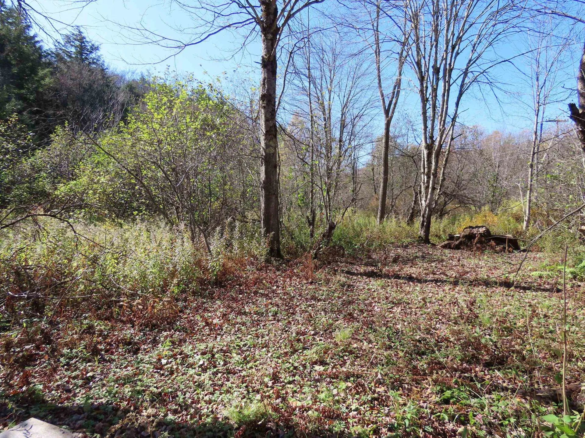 6 Andrea Drive Stamford VT 05320