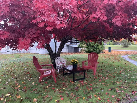 9 Dockside Lane Rochester NH 03867