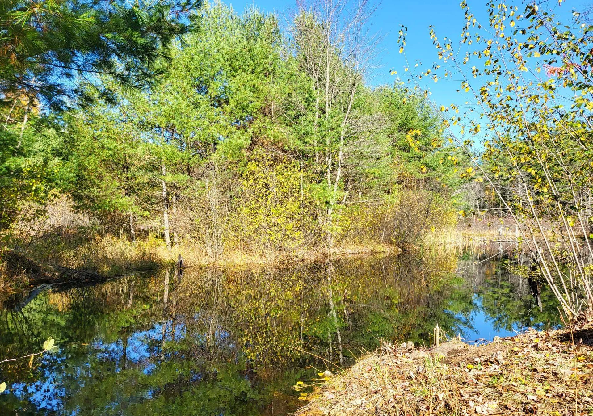72 Threshing Mill Road Sanbornton NH 03269