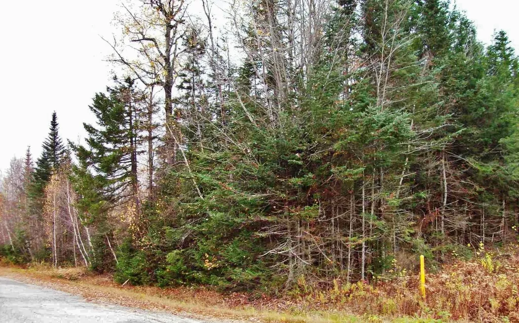 29 Gorham Heights Road Gorham NH 03581