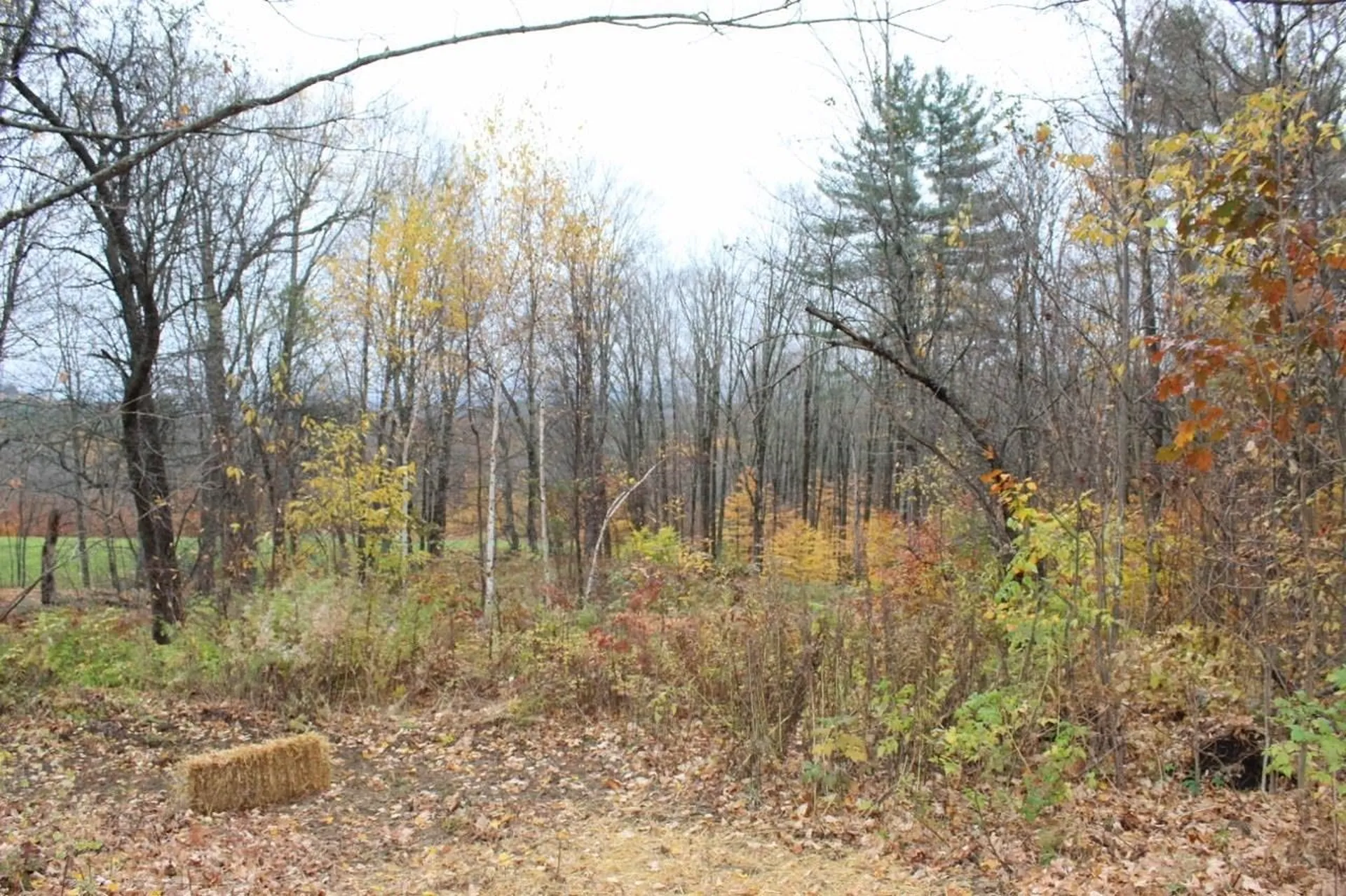 2370 Baltimore Road Baltimore VT 05143