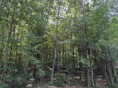 0 Locarno Street Moultonborough NH 03254