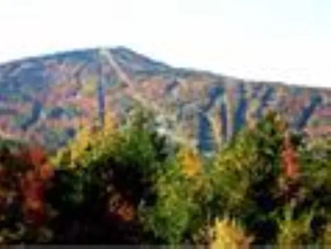 211 Intervale Road Gilford NH 03249