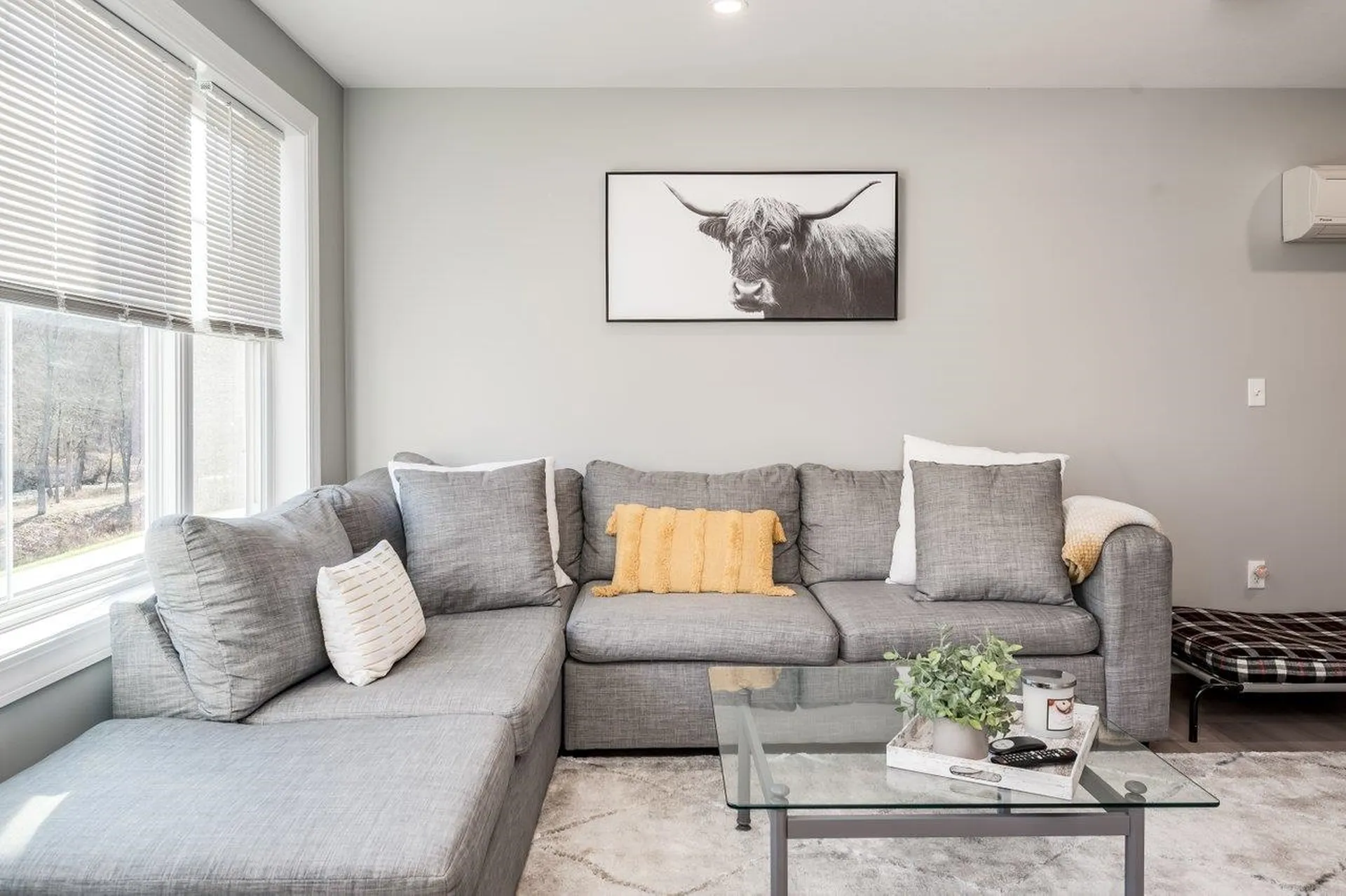 31 Fownes Mill Court Rochester NH 03867