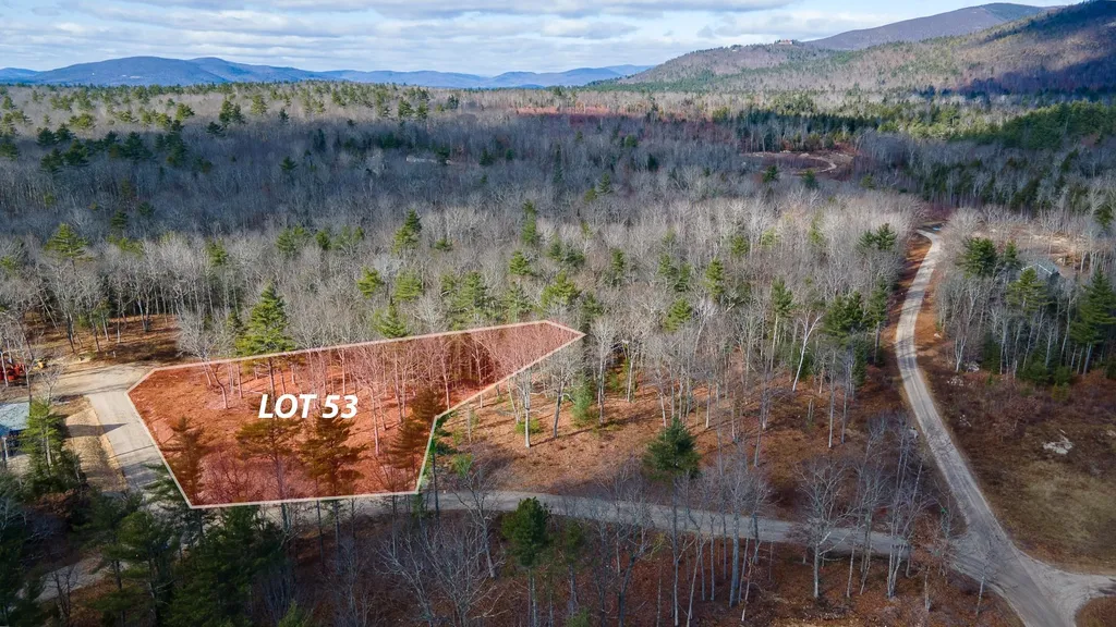 Lot 53 Remington Court Tuftonboro NH 03816