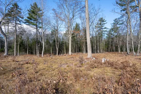 Lot 53 Remington Court Tuftonboro NH 03816