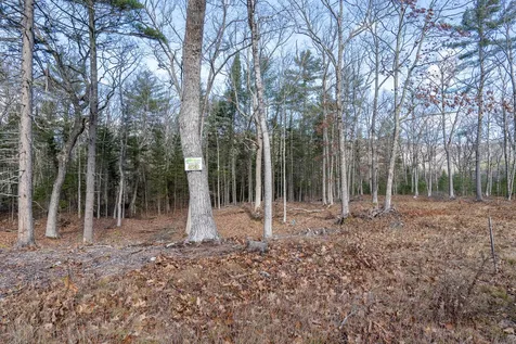 Lot 53 Remington Court Tuftonboro NH 03816